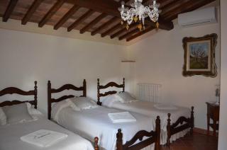 Podere Sant'Antonio - Fauglia - 8
