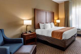 Comfort Inn & Suites Atoka-Millington - Atoka - 4