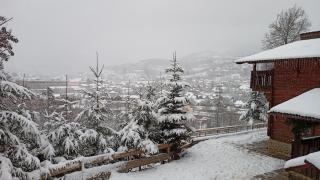 Panoramic Chalet - Vişeu de Sus - 9