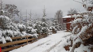 Panoramic Chalet - Vişeu de Sus - 8