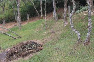 Suite com terraço - Conceição da Ibitipoca - 1