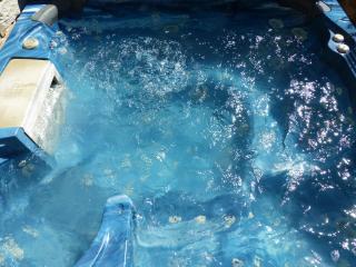 Chalet Le Bordarriben sauna & spa - 8