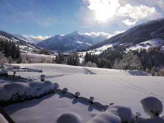 Appartement Moaeben - Panorama - Alpbach - 3