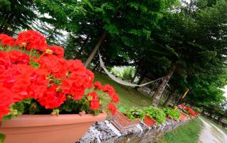 B&B Il Casale - Castel di Sangro - 4