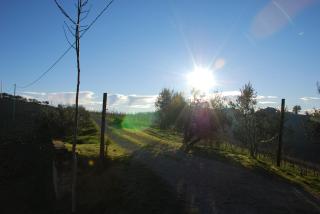 Agriturismo Magna Mater Agriculturae - Monsampolo del Tronto - 3