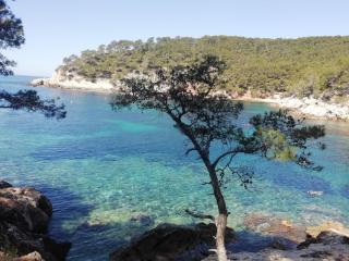 Petit coin de paradis. - Six-Fours-les-Plages - 0