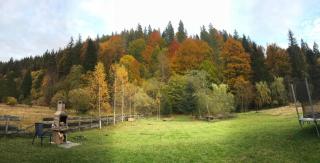 Central Chalet - Vărşag - 6