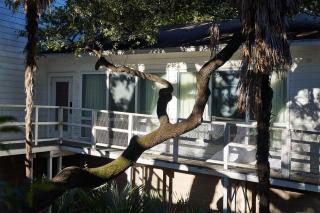 Stagecoach Inn - Salado - 2