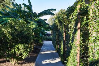 Stagecoach Inn - Salado - 1