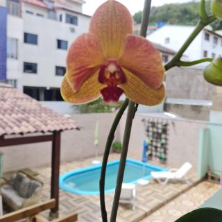 Beira Mar Hostel - Florianópolis - 5