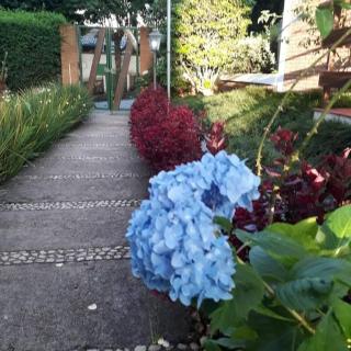 Apartamento Garden Capivari Campos do Jordão - 5