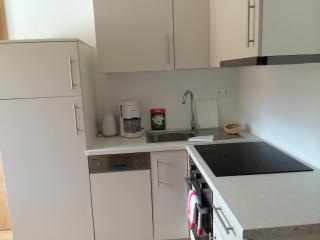 Apartementhaus Helene am Klopeinersee - Unterburg am Klopeiner See - 4