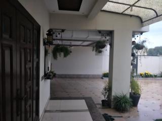 Cheerful and spacious 1-Kanal / 4-Bedroom residential home - 3
