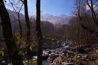 Zostel Dobhi, Manali - Nagar - 2