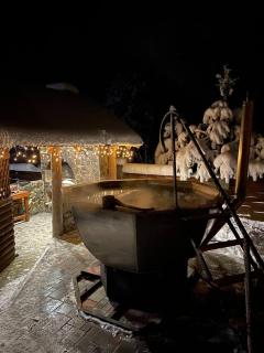 Котедж ВІКТОРІЯ - 5