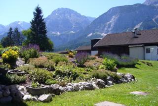 Tiroler Alpblick Appartements - 2