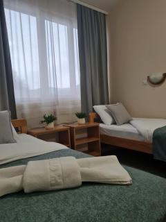Garni hotel Alma - Pirot - 9