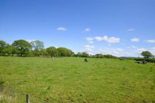 Goitre Bach Cottage - Aberaeron - 5