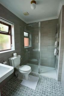 Goitre Bach Cottage - Aberaeron - 1