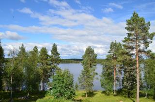 Sänkelä Cottage - 1