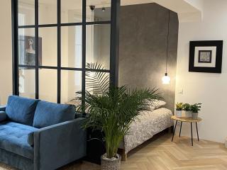Bel appartement au centre du vieux Joigny - Joigny - 2