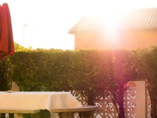Patos Beach - Garden - 1