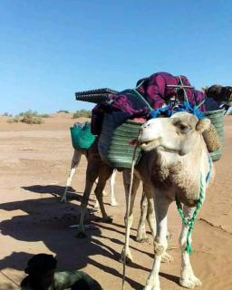 Sahara wild camping - 2