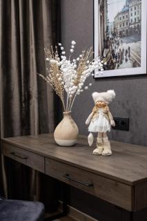 Stare Misto Premium Apartment - Lviv - 8