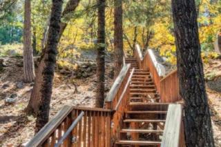 Forest Glen - Yosemite West - 5