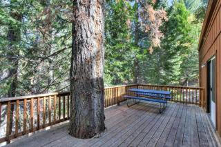 Forest Glen - Yosemite West - 7