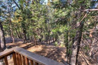 Forest Glen - Yosemite West - 6