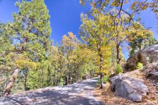 Forest Glen - Yosemite West - 5