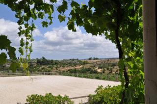 B&B Badde Cubas - Usini - 3