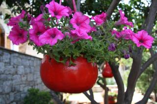 Anna Maria Studios - Agios Nikolaos - 4