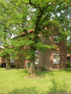 Vakantiewoning Boerderij De Gerrithoeve - Oisterwijk - 1