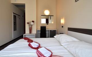 Hotel Fontana - Buzet - 8