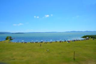 Badiaccia Village Camping - Castiglione del Lago - 2