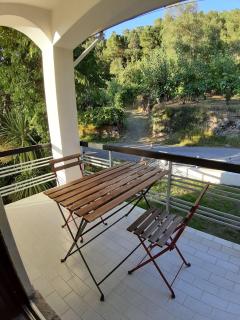 Casa Da Ameixieira - Arouca - 7