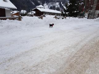 Residence Hotel 4s Montagna - Cogolo - 3