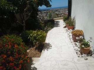 The Best - Paphos - 9