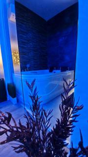 Stars lux room - Belgrad - 5