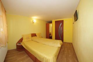 Pensiunea Anisoara - Chişcău - 3