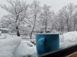 Kavaler inn hotel - Kuty - 3