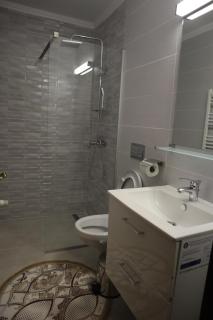 Pensiunea GOLD Wellness&Spa - Chişcău - 6
