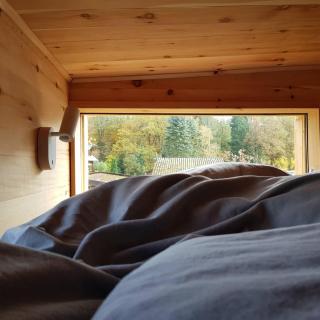 Zirbenholz Tiny House "Waldhauszeit" am See - 1