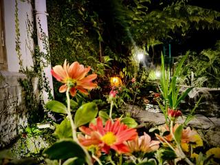 Noblestride Resort - Gangtok - 5
