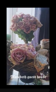 Marabeth Guest House - Zagreb - 2