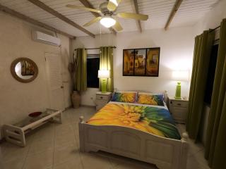 Yellow Bird Apartment - Christ Church - 3