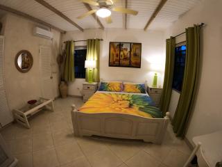 Yellow Bird Apartment - Christ Church - 1