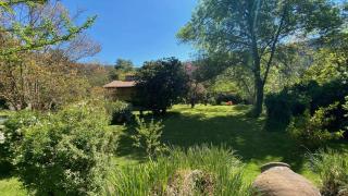 Jardín del Río - 8